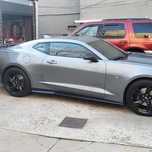 Meet your Posher, Izzy